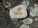 Willie Scholl.jpg