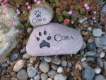 Cora.jpg