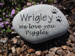 Wrigley Alexander, Analy VH.jpg