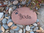 Yoda.jpg