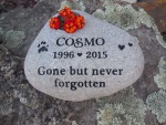Cosmo Vollmer, Howard Vollmer Bodega Bay Vet employee (2).jpg