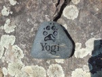 Yogi Cote, Pet Care East.jpg