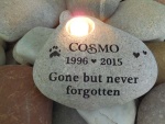 Cosmo Vollmer, Howard Vollmer Bodega Bay Vet employee (5).jpg