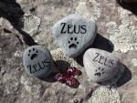 Zeus Freeland, Kari Freeland ESRV.jpg