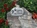 Zoomie Perkins.jpg