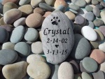 Crystal Engel.jpg