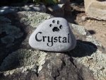 Crystal LaFountain, VCA Westside AH.jpg