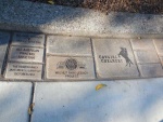 Walnut Park Restoration project, Petaluma CA. 2015 - 3