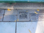 Walnut Park Restoration project, Petaluma CA. 2015 - 4