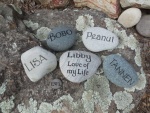 Lisa Vasse pet memorials.JPG