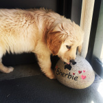 June with Sherbie Logie stone.JPG
