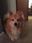 Missi Little.JPG