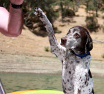 Molly In Lake.jpg