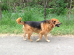 Trip East 002.JPG