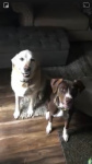 Ruby Jean with Floyd Horton.jpeg