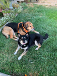 Gus Doll and Abby 5.jpeg